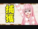 【ソフトウェアトーク劇場】カプチーノハウス・改 パート145【捕獲】