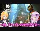 【STRAY】ゆかりとマキが猫ちゃんと大冒険part１６【特別シリーズ】