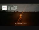 ヒビキノインディーズ単品　Signal