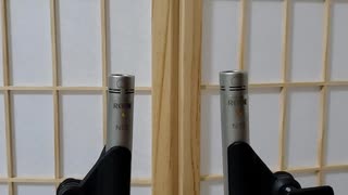 [一分間スクラッチASMR]鼓膜を耳かき綿棒ステンレスでスクラッチング/[1minuteASMR]