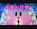《実況》星のカービィ　ディスカバリー　Part19