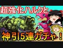 超強化されたハルクと神引き水着5連ガチャ！【パズドラ】