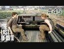 【実況】この過酷な世界を生きてゆく。ラストオブアス2を実況プレイpart45【The Last of Us Part Ⅱ】