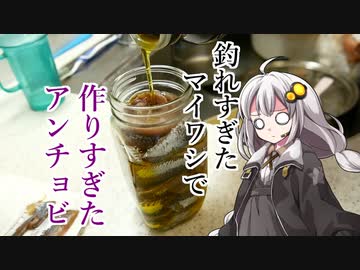 釣れなくても料理！自家製アンチョビ！【VOICEROIDキッチン】