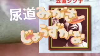 人気の はみがきじょうずかな 動画 54本 ニコニコ動画