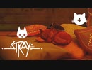 【初見実況】猫好きの猫飼い、猫になる。【Stray】＃04