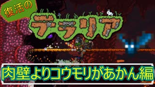 肉壁よりコウモリがあかん編｜復活のテラリア- #11【Terraria / PC / steam】