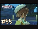 【ゲーム実況】表情は見えないけど女の顔をしている【ライザのアトリエ２】#55