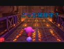 【実況】星のカービィ ディスカバリー 【part20】