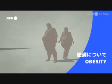 ビデオグラフィック「肥満について」