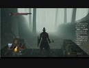 #30【ダークソウル2】虚ろの影の森へやってきた初見プレイ-DARK SOULS Ⅱ SCHOLAR OF THE FIRST SIN-