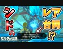 バグでシドの激レア台詞が見れるらしい【ブレワイ BotW】裏技 バグ 検証 ゆっくり実況 glitch