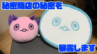 【ETERNAL RETURN】秘密商店のグッズが届いたので紹介していきます