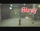 【Stray】「Neco Co.に侵入する猫」猫になって、人類の滅んだ世界を探索するアドベンチャーゲームをやっていくよ！【22匹目】