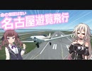 練習がてら遊覧飛行するIAちゃん航空【MSFS】