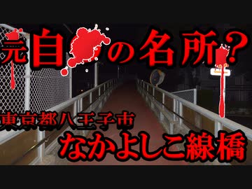【心霊スポット】昔は自〇の名所の踏切があった！？　なかよしこ線橋【心霊スポット凸】