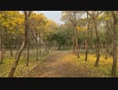 福本琢