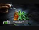 Buy CBD Oil