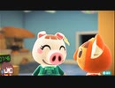 あつまれどうぶつの森！ハピパラやろう！Part１３