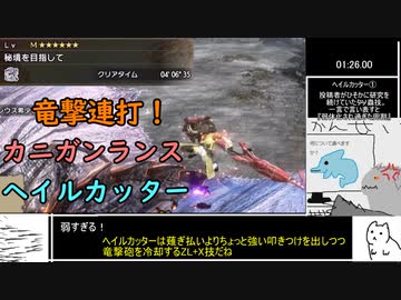 カニガンランス×ヘイルカッターで常識を覆せ！(犬)【MHサンブレイク】