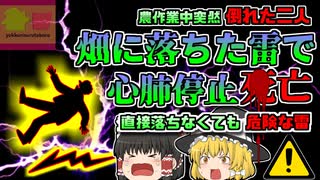 【2020年長野】「バァーン!!」突然畑に鳴り響いた轟音…倒れる二人…原因は畑への落雷? 直接落ちなくても危険な「長野落雷事故」【ゆっくり解説】