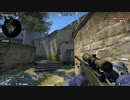 csgo 絶叫