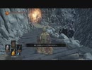 40歳の『DARK SOULSⅢ』実況【ネタバレ注意】28