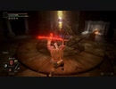 ボスラッシュ【ELDEN RING】33