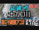 アユの友釣り 仁淀川(高知県) 土居川 第2話 2022.8.11pm