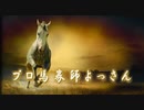 【中央競馬】プロ馬券師よっさんの日曜競馬 其の弐百九十参