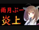 雨月ぷーさんタグ無断使用して炎上