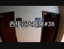 西伊豆大冒険#38