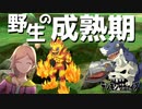 自由行動開始！シュウジとサキと初絡み #17【デジモンサヴァイブ】