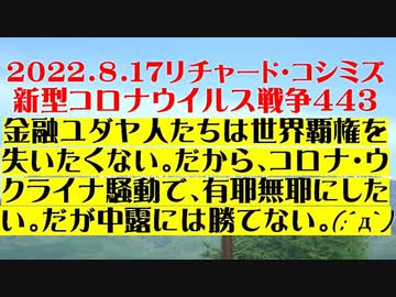 【2022年08月17日：リチャード・コシミズ Internet 講演（ 改良版 ）】