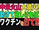 2021.04.11【世界：ワクチン】自由の終わりか⁉️世界各地に広がる『ワクチンパスポート』❗️背後に中国の影❓□□□【及川幸久−BREAKING−】