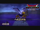 【実況】闇に覆われた世界だけど、スローライフで復興する【ドラゴンクエストビルダーズ】49日目