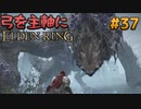 【ゆっくり実況】弓を主軸にエルデンリング part37【ELDEN RING】