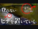 コンデジ野鳥撮影0527C⑤【置いていかれた雛鳥】