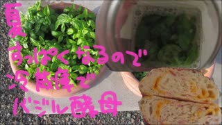 夏酸っぱくなるので冷蔵庫でバジル酵母起こしてカンパ