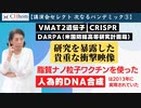 新型コロナは仕組まれたパンデミックだった！その目的とは？　2022年7月16日 とらこ先生緊急ライブ ワクチンを打った人が直ぐにしなければならないこと、秋以降のパンデミックに備えて今から行うべきこと