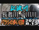 アユの友釣り 仁淀川(高知県) 長者川と小川川 2022.8.13