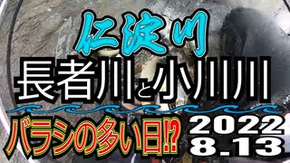 アユの友釣り 仁淀川(高知県) 長者川と小川川 2022.8.13