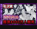 【 ゆっくり解説 】毛沢東　「 大躍進政策 」 の闇( 怖い話 怪談 オカルト 都市伝説 好きな方向け！)