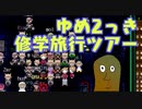 【ゆめ2っき#397-1】2っきオンラインにあつまれ～！！(2022.08.17)