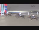 第56回黒潮盃 エスポワールガイ