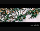 いつか見た風景の中で流れる音楽｜結わえる - 山出和仁