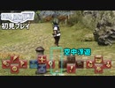 最新MMORPGをプレイしたら、どこでもジャンプできて無邪気にはしゃいでしまった 【FF14 初見プレイ】※アドバイス大歓迎！