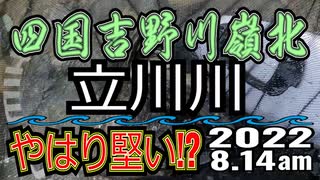 アユの友釣り 四国吉野川(高知県) 立川川 2022.8.14am