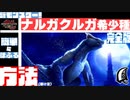 【完全版】【MHRSB】ナルガクルガ希少種を簡単に屠る方法（時短）【大剣編】　補足事項はコメント欄へ　一時停止しながらみてね　