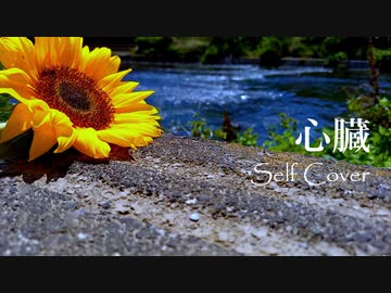 心臓 feat.可不 / Self Cever